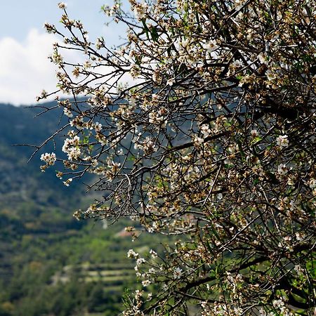 Villa The Old Olive Mill House By Trulycyprus Dhoros Exterior foto