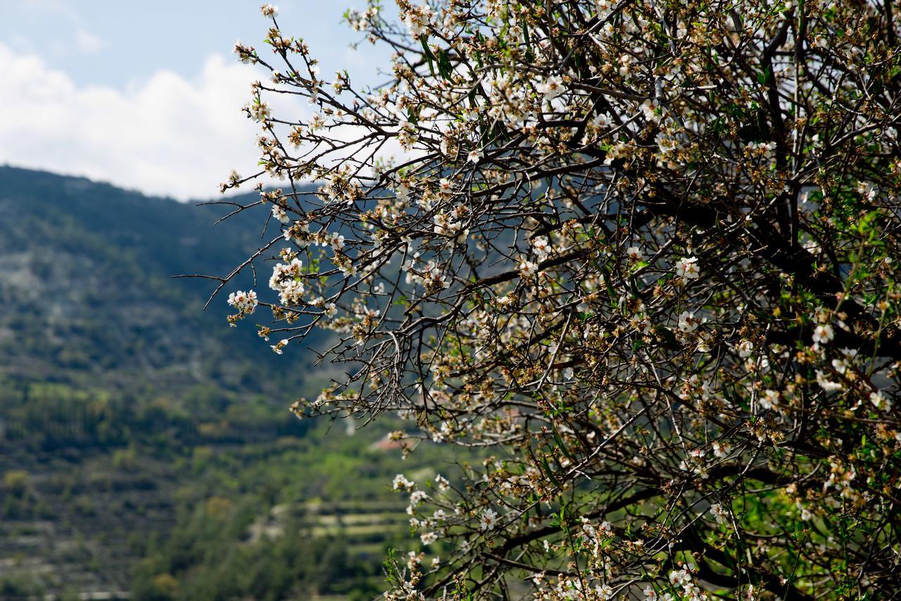 Villa The Old Olive Mill House By Trulycyprus Dhoros Exterior foto