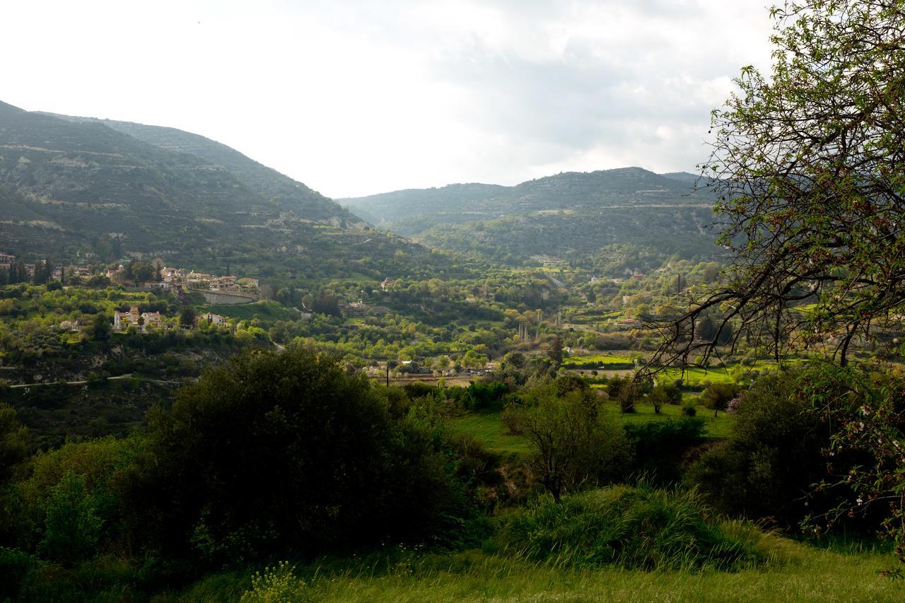 Villa The Old Olive Mill House By Trulycyprus Dhoros Exterior foto